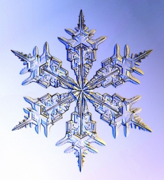 01_snowflake_1